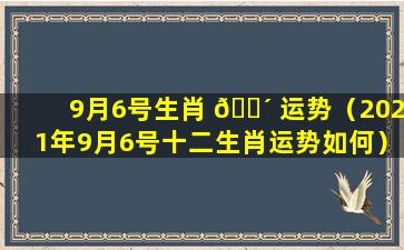 9月6号生肖 🌴 运势（2021年9月6号十二生肖运势如何）